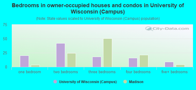 Bedrooms in owner-occupied houses and condos in University of Wisconsin (Campus)