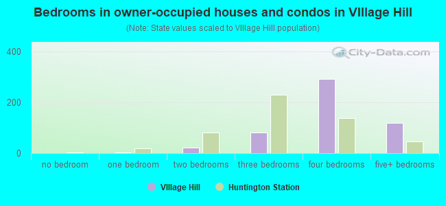 Bedrooms in owner-occupied houses and condos in VIllage Hill