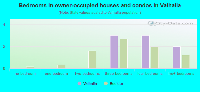 Bedrooms in owner-occupied houses and condos in Valhalla