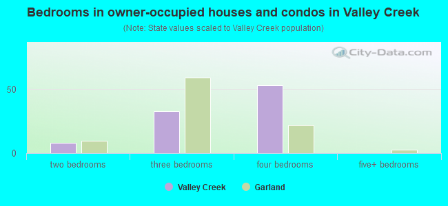 Bedrooms in owner-occupied houses and condos in Valley Creek