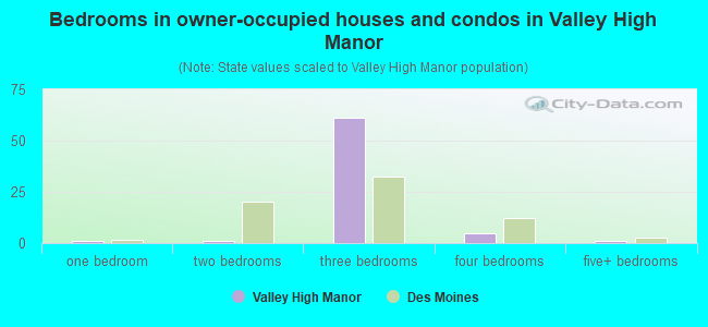 Bedrooms in owner-occupied houses and condos in Valley High Manor