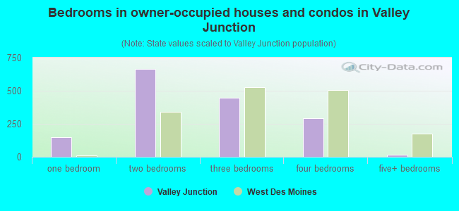 Bedrooms in owner-occupied houses and condos in Valley Junction