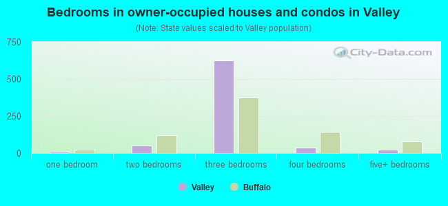 Bedrooms in owner-occupied houses and condos in Valley