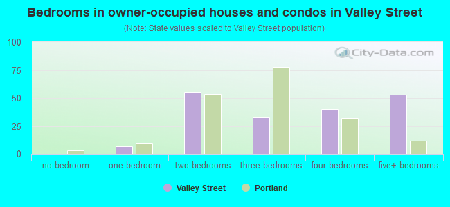 Bedrooms in owner-occupied houses and condos in Valley Street