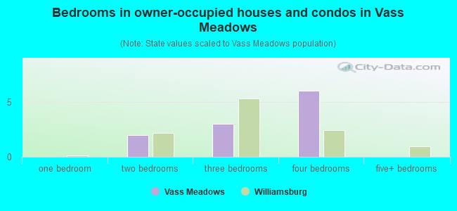 Bedrooms in owner-occupied houses and condos in Vass Meadows