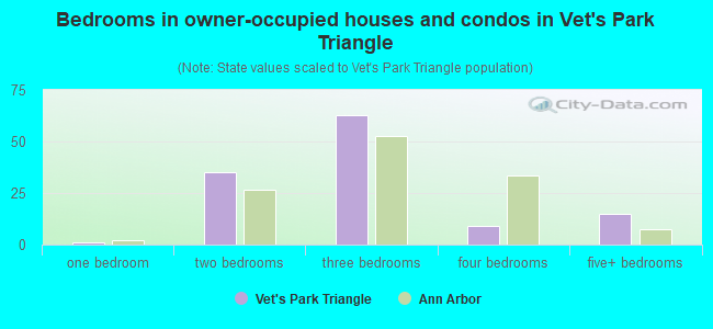 Bedrooms in owner-occupied houses and condos in Vet's Park Triangle