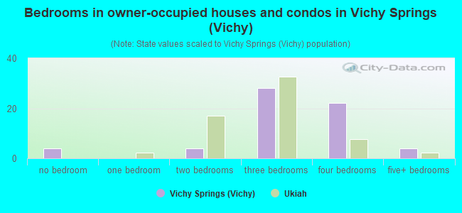 Bedrooms in owner-occupied houses and condos in Vichy Springs (Vichy)