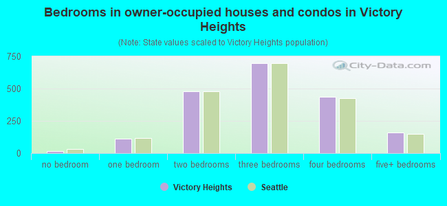 Bedrooms in owner-occupied houses and condos in Victory Heights
