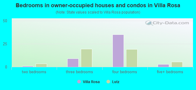 Bedrooms in owner-occupied houses and condos in Villa Rosa