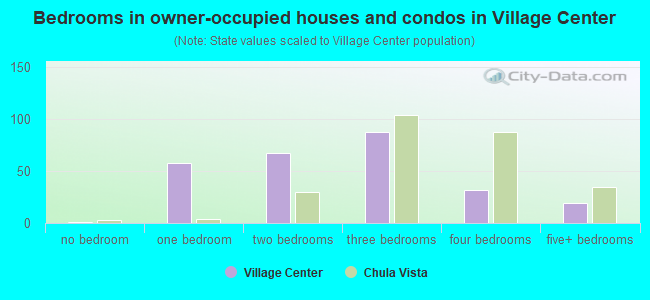 Bedrooms in owner-occupied houses and condos in Village Center