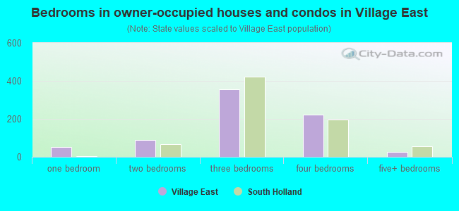 Bedrooms in owner-occupied houses and condos in Village East