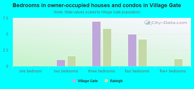 Bedrooms in owner-occupied houses and condos in Village Gate