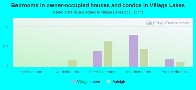 Bedrooms in owner-occupied houses and condos in Village Lakes