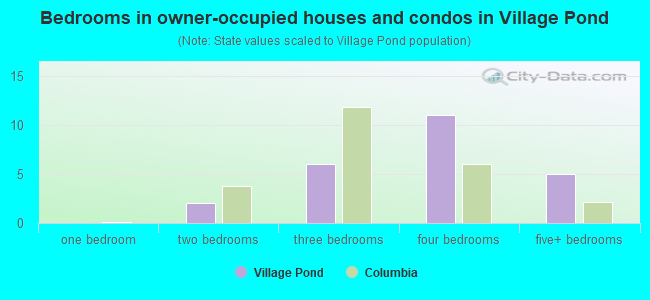 Bedrooms in owner-occupied houses and condos in Village Pond
