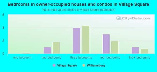 Bedrooms in owner-occupied houses and condos in Village Square