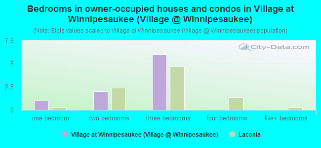 Bedrooms in owner-occupied houses and condos in Village at Winnipesaukee (Village @ Winnipesaukee)