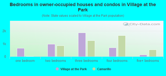 Bedrooms in owner-occupied houses and condos in Village at the Park