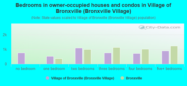 Bedrooms in owner-occupied houses and condos in Village of Bronxville (Bronxville Village)