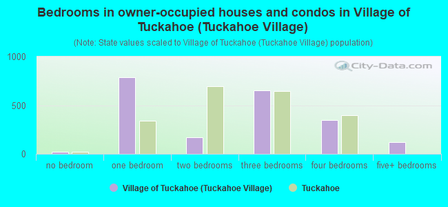 Bedrooms in owner-occupied houses and condos in Village of Tuckahoe (Tuckahoe Village)
