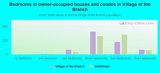 Bedrooms in owner-occupied houses and condos in Village of the Branch
