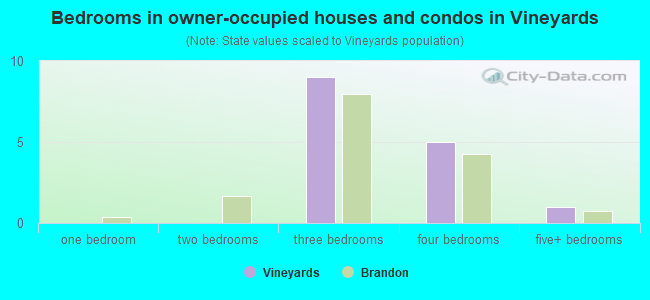 Bedrooms in owner-occupied houses and condos in Vineyards