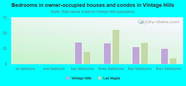 Bedrooms in owner-occupied houses and condos in Vintage Hills