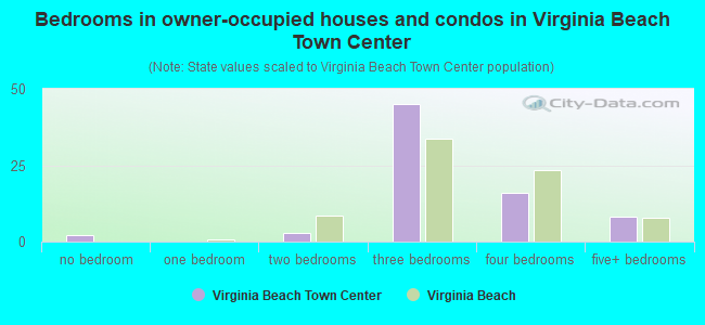 Bedrooms in owner-occupied houses and condos in Virginia Beach Town Center