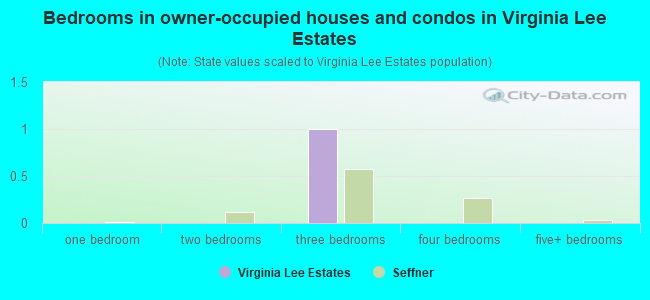 Bedrooms in owner-occupied houses and condos in Virginia Lee Estates
