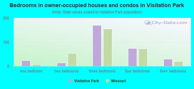 Bedrooms in owner-occupied houses and condos in Visitation Park