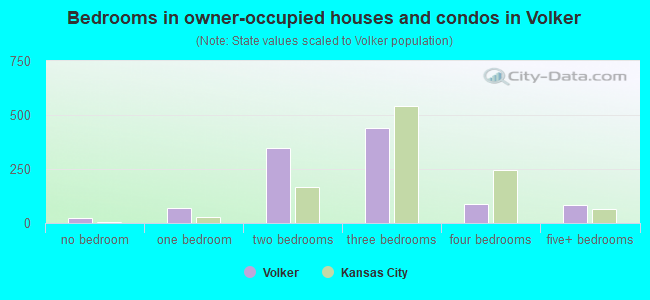 Bedrooms in owner-occupied houses and condos in Volker
