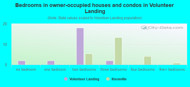 Bedrooms in owner-occupied houses and condos in Volunteer Landing