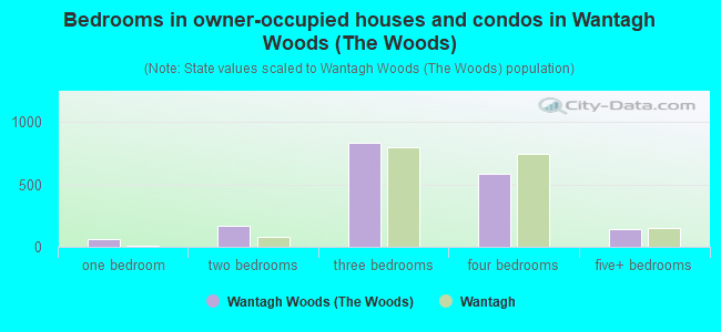 Bedrooms in owner-occupied houses and condos in Wantagh Woods (The Woods)