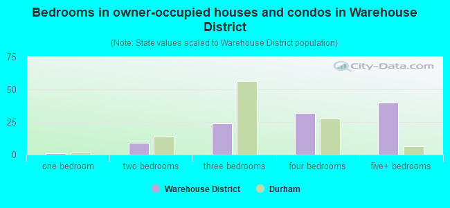Bedrooms in owner-occupied houses and condos in Warehouse District