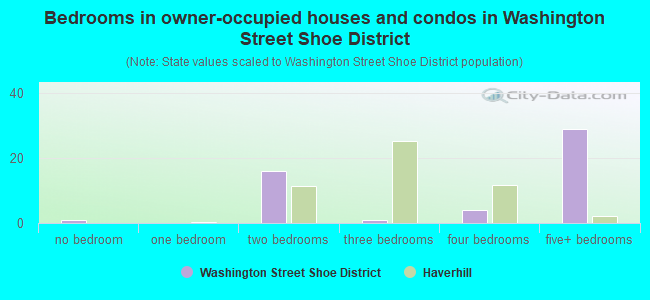Bedrooms in owner-occupied houses and condos in Washington Street Shoe District