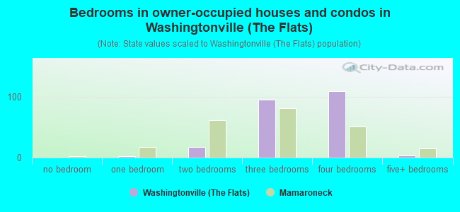 Bedrooms in owner-occupied houses and condos in Washingtonville (The Flats)