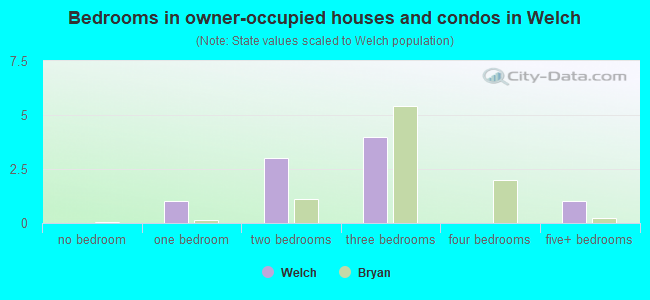 Bedrooms in owner-occupied houses and condos in Welch