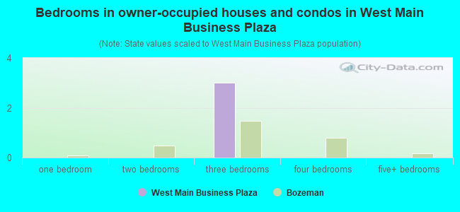 Bedrooms in owner-occupied houses and condos in West Main Business Plaza