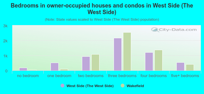 Bedrooms in owner-occupied houses and condos in West Side (The West Side)