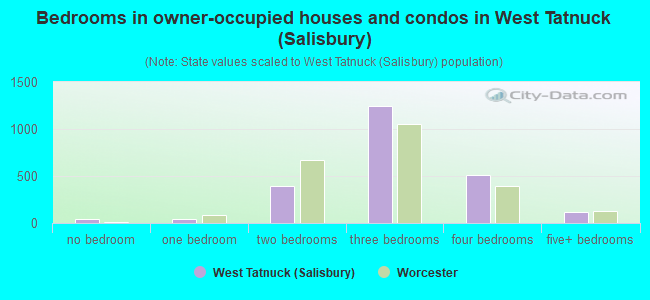 Bedrooms in owner-occupied houses and condos in West Tatnuck (Salisbury)