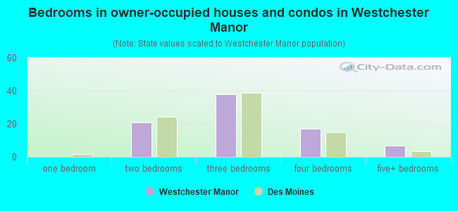 Bedrooms in owner-occupied houses and condos in Westchester Manor