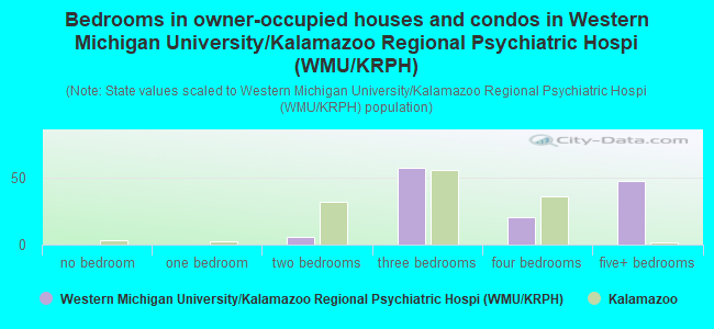 Bedrooms in owner-occupied houses and condos in Western Michigan University/Kalamazoo Regional Psychiatric Hospi (WMU/KRPH)