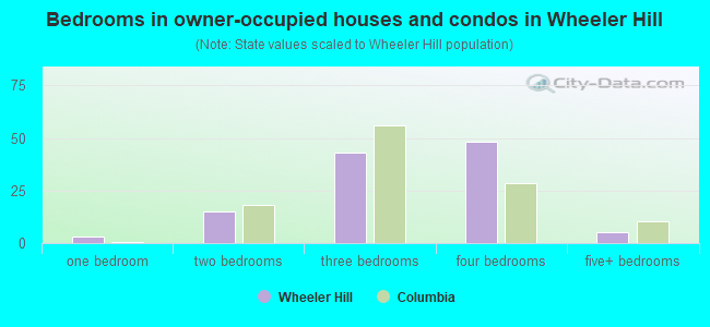 Bedrooms in owner-occupied houses and condos in Wheeler Hill