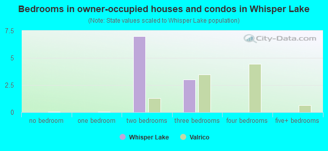 Bedrooms in owner-occupied houses and condos in Whisper Lake
