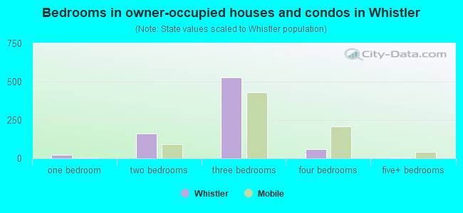 Bedrooms in owner-occupied houses and condos in Whistler