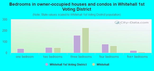 Bedrooms in owner-occupied houses and condos in Whitehall 1st Voting District