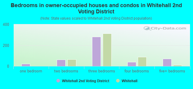 Bedrooms in owner-occupied houses and condos in Whitehall 2nd Voting District