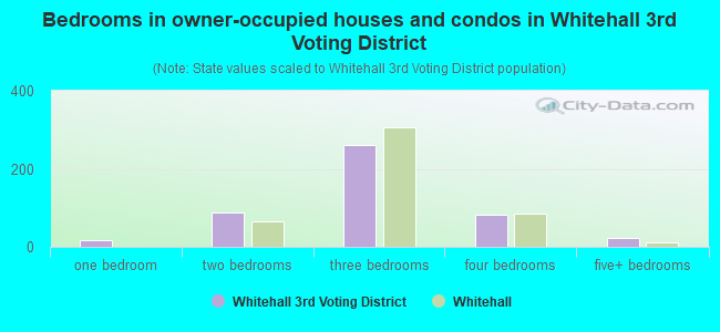 Bedrooms in owner-occupied houses and condos in Whitehall 3rd Voting District