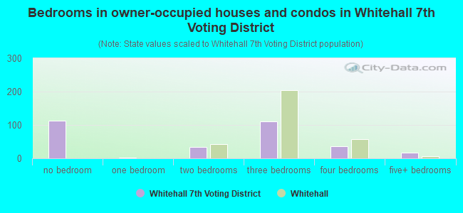 Bedrooms in owner-occupied houses and condos in Whitehall 7th Voting District