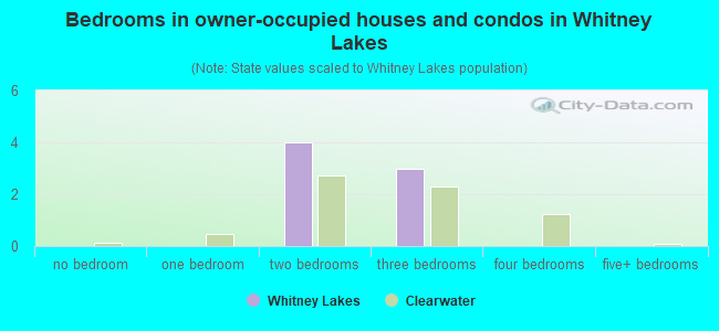 Bedrooms in owner-occupied houses and condos in Whitney Lakes