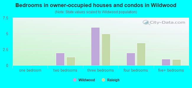 Bedrooms in owner-occupied houses and condos in Wildwood